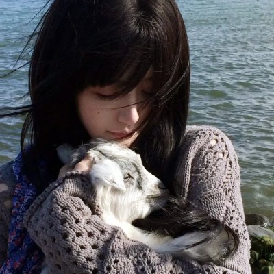图雅的婚事